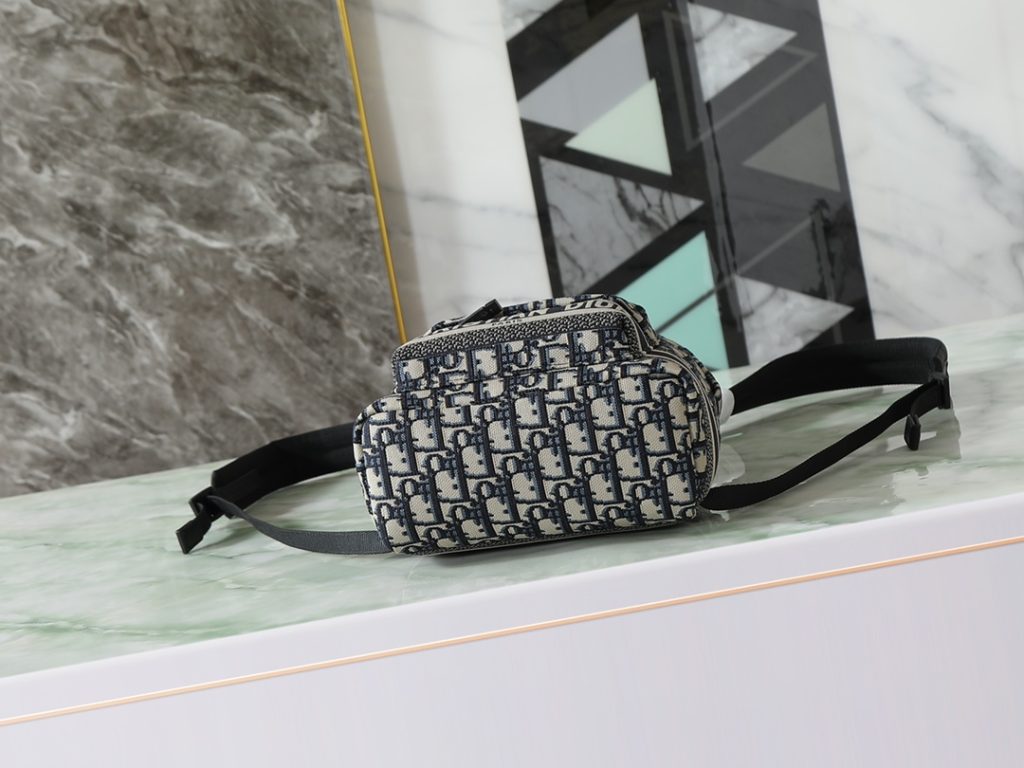 Dior Backpack
