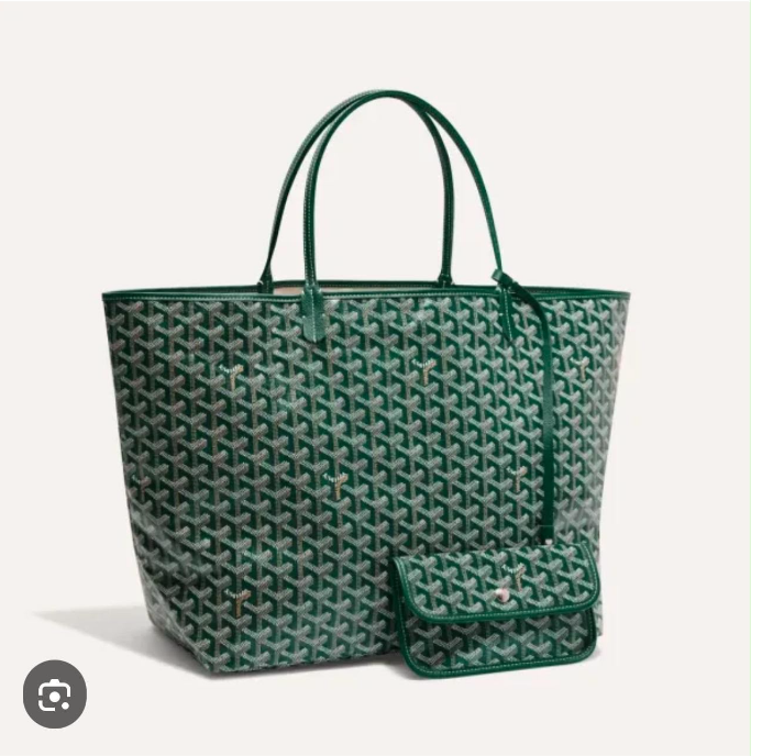 Goya bag